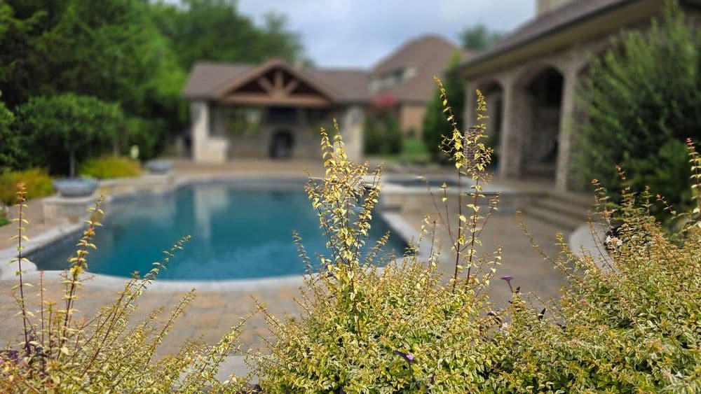 Lush garden flowers in foreground with a serene swimming pool and patio in background.
